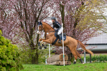 Eventing im Pferdesportzentrum Rheinland (17.03.2026)
