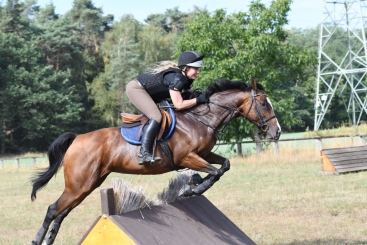 Hunter Geländetraining